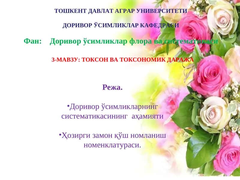 ТОШКЕНТ ДАВЛАТ АГРАР УНИВЕРСИТЕТИДОРИВОР ЎСИМЛИКЛАР КАФЕДРАСИ