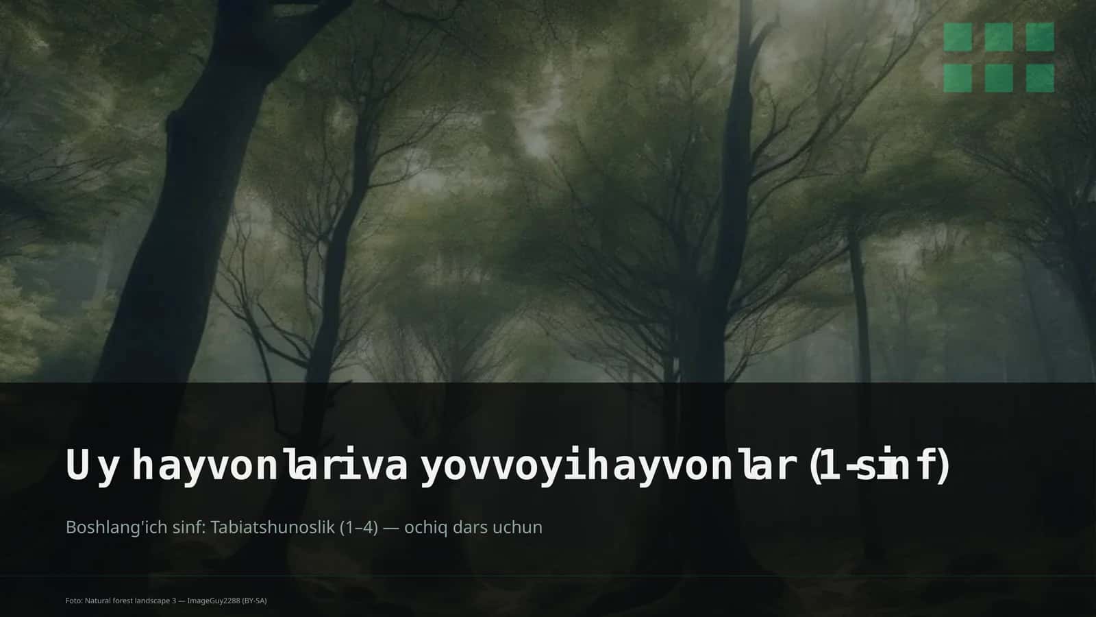 Uy hayvonlari va yovvoyi hayvonlar (1-sinf)
