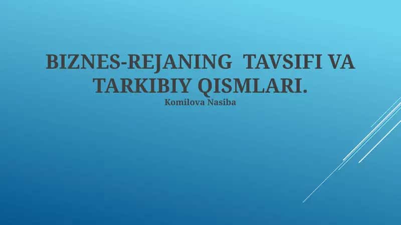 Biznes-rejaning Tavsifi va Tarkibiy Qismlari