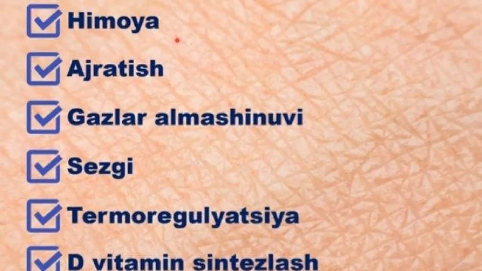 teri bezlari
