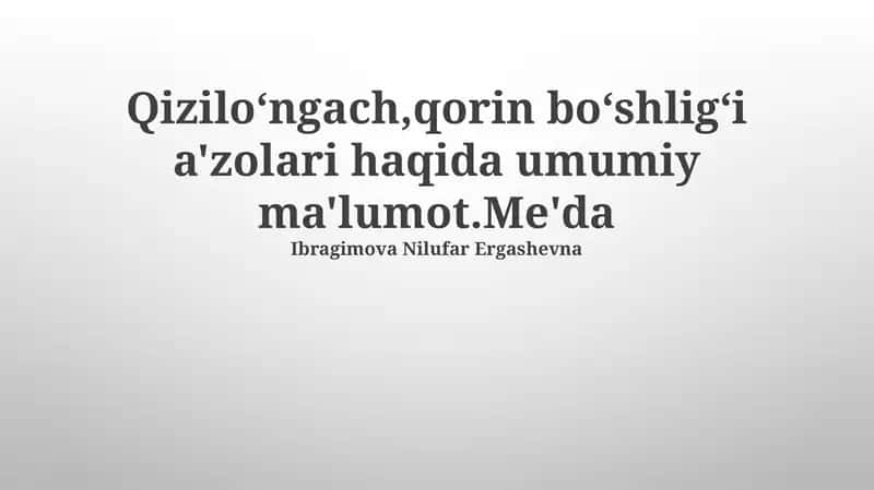 Qizilo'ngach,qorin bo'shlig'i a'zolari haqida umumiy ma'lumot