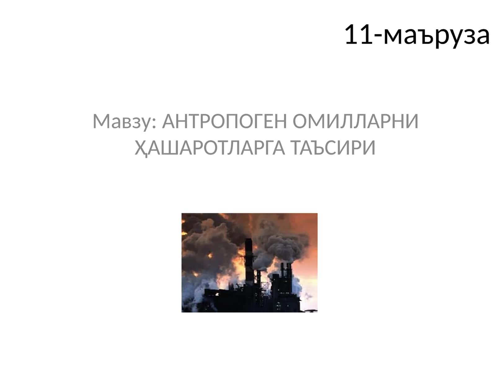 АНТРОПОГЕН ОМИЛЛАРНИ ҲАШАРОТЛАРГА ТАЪСИРИ