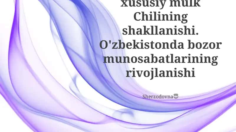 Chiliyadagi Xususiy Mulkiy: Iqtisodiy Islohotlarning Merosxoʻri