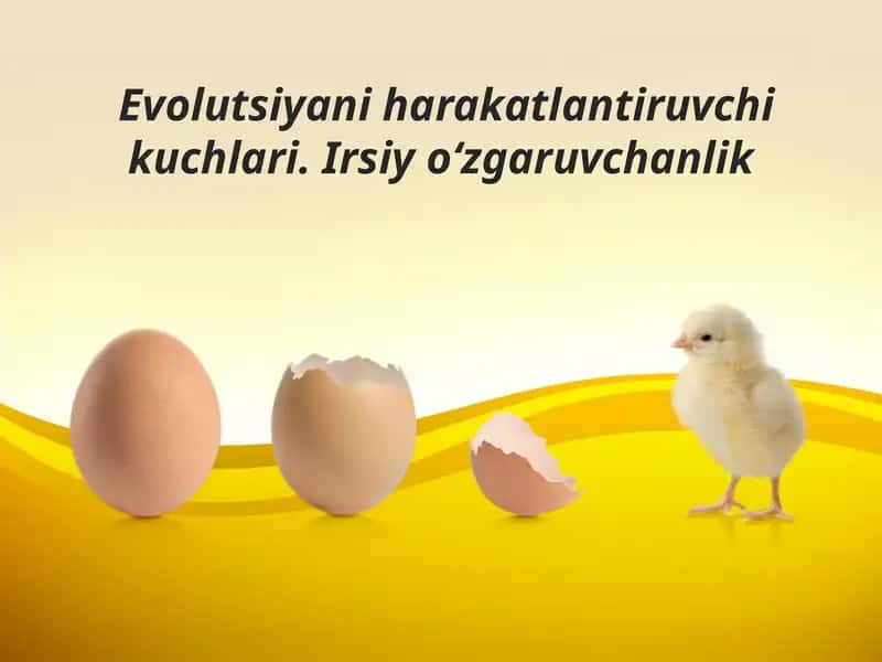 Evolutsiyani harakatlandiruvchi kuchlari.Irsiy o‘zgaruvchanlik