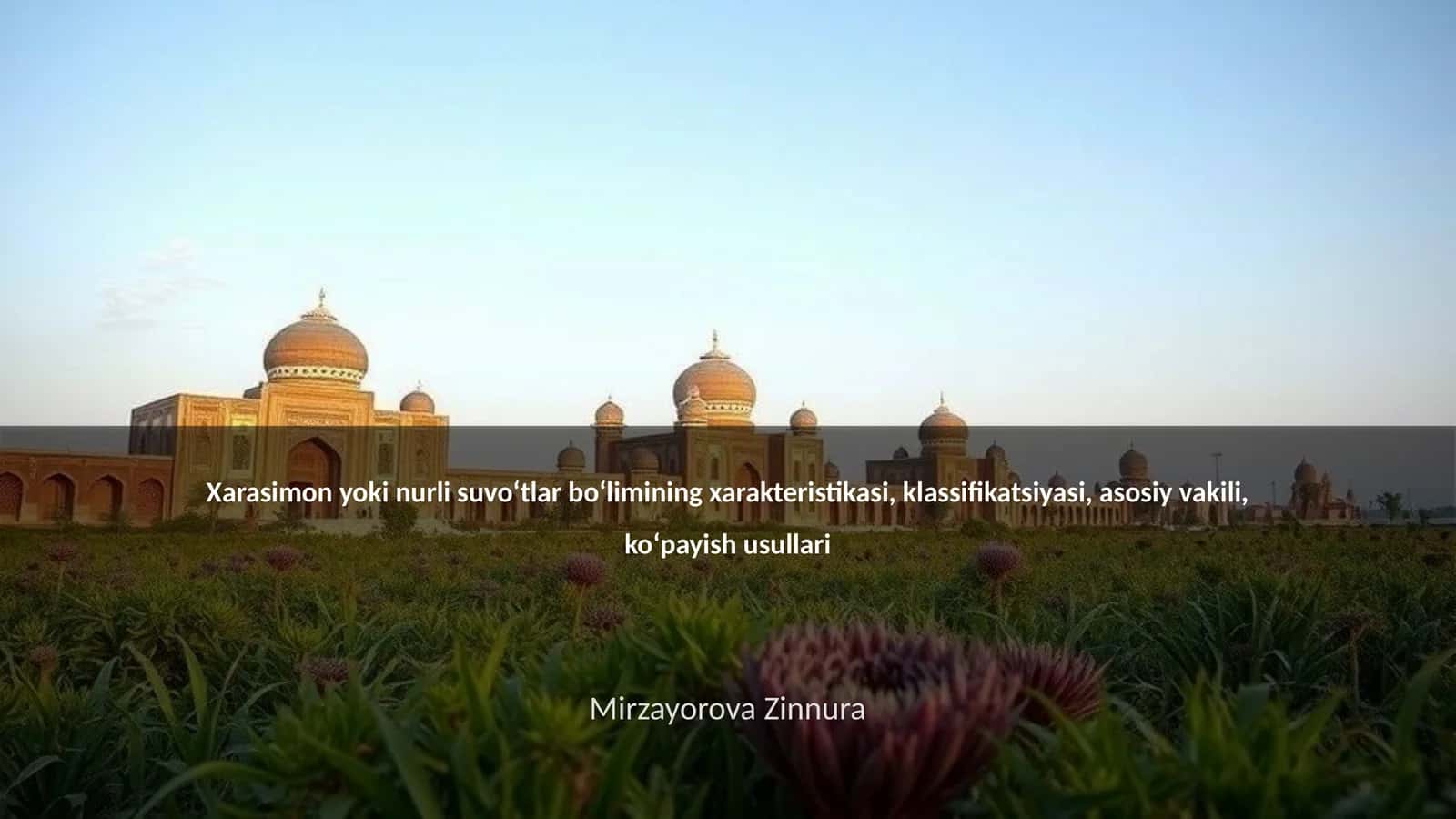 Xarasimon yoki nurli suvoʻtlar boʻlimining xarakteristikasi, klassifikatsiyasi, asosiy vakili, koʻpayish usullari
