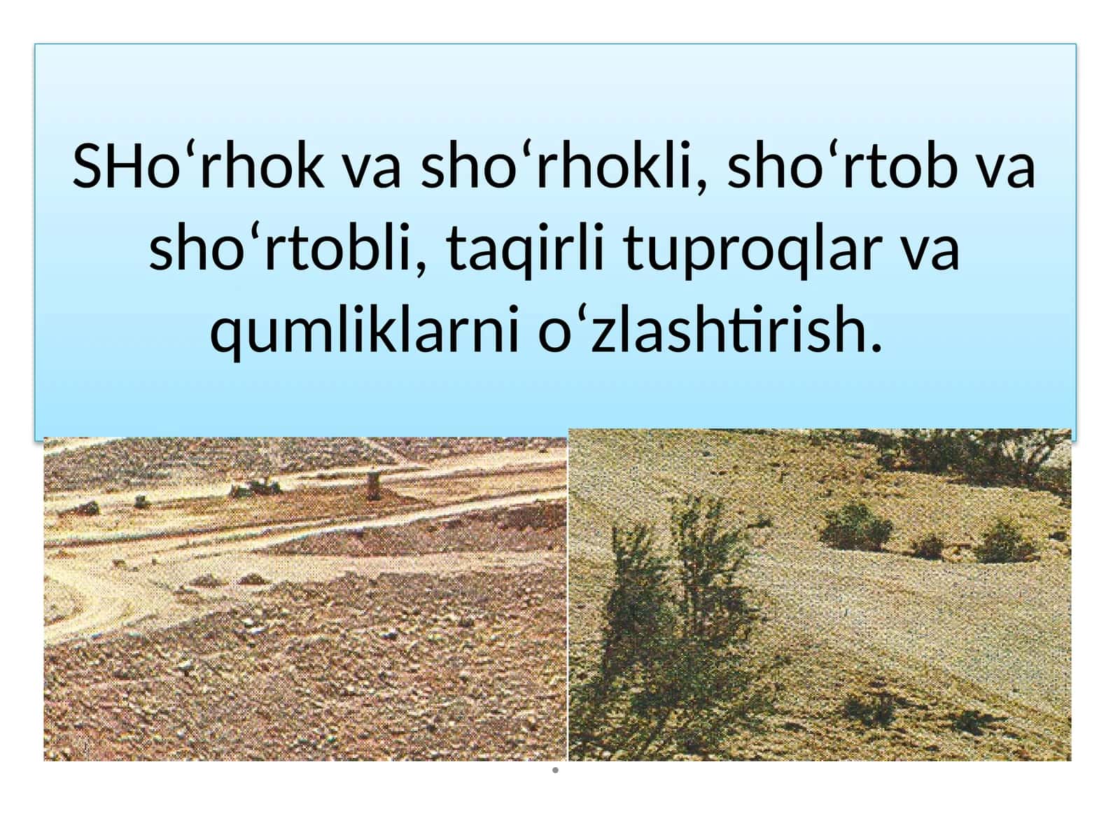 Sho‘rhok va sho‘rhokli, sho‘rtob va sho‘rtobli, taqirli tuproqlar va qumliklarni o‘zlashtirish