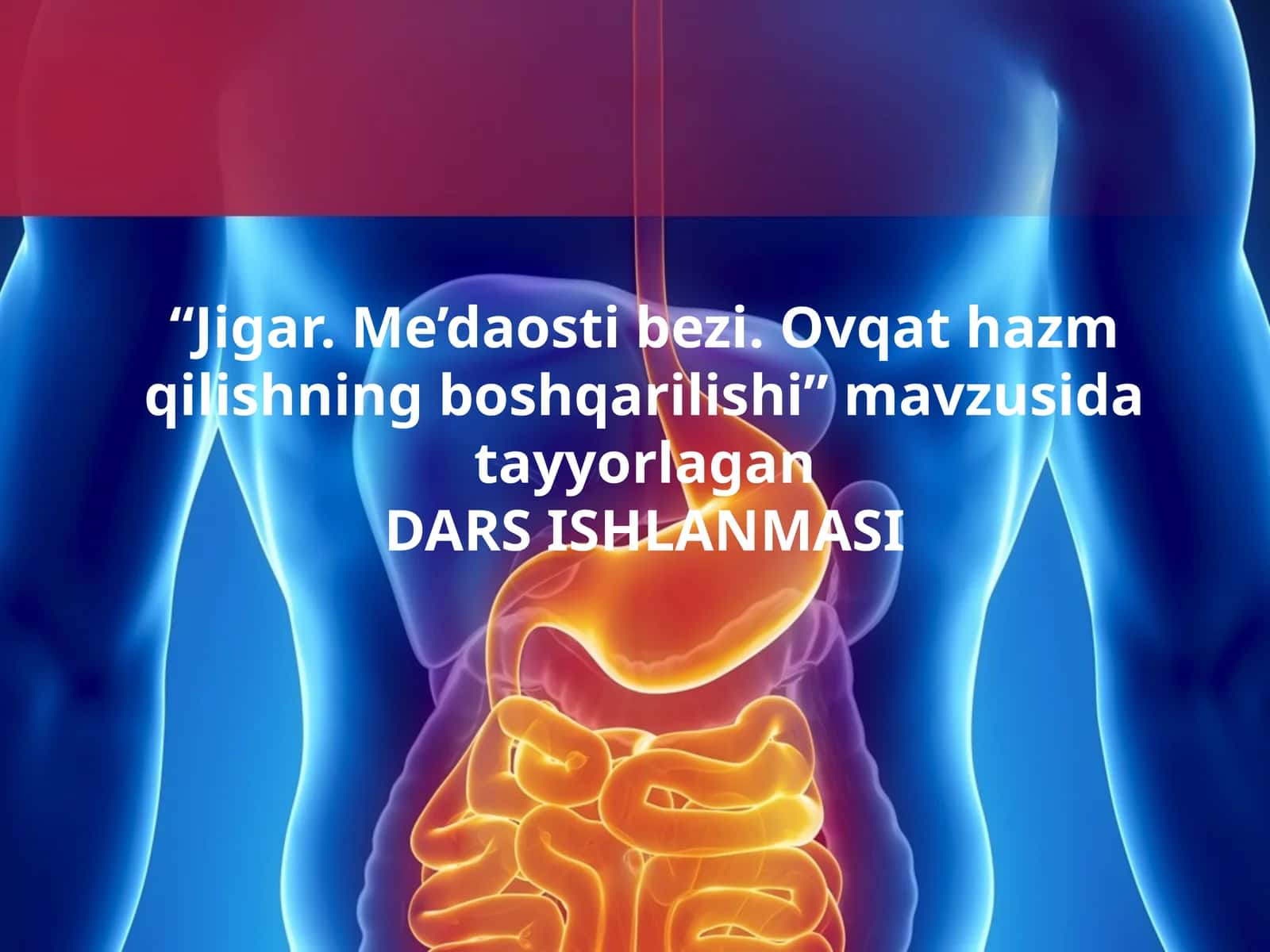Jigar.Me’daostibezi.Ovqat hazm qilishning boshqarilishi