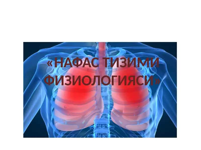 Нафас тизими физиологияси