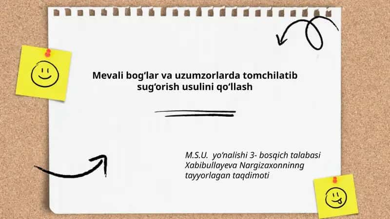 Tomchilatib sug‘orish usullari