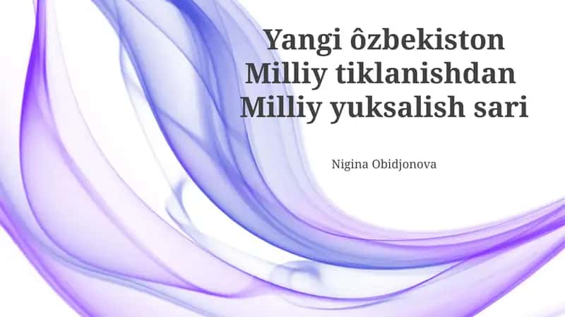 Yangi Oʻzbekistonning asosiy tamoyillari