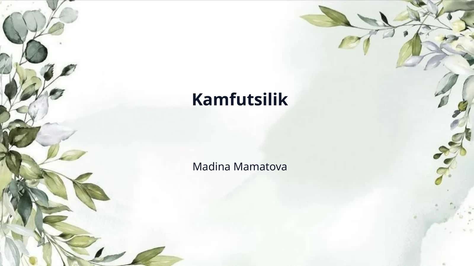 Kamfutsilik