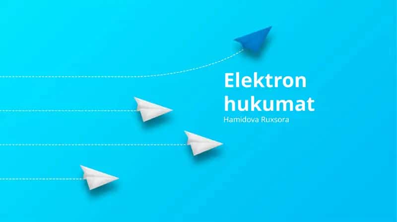 Elektron hukumat