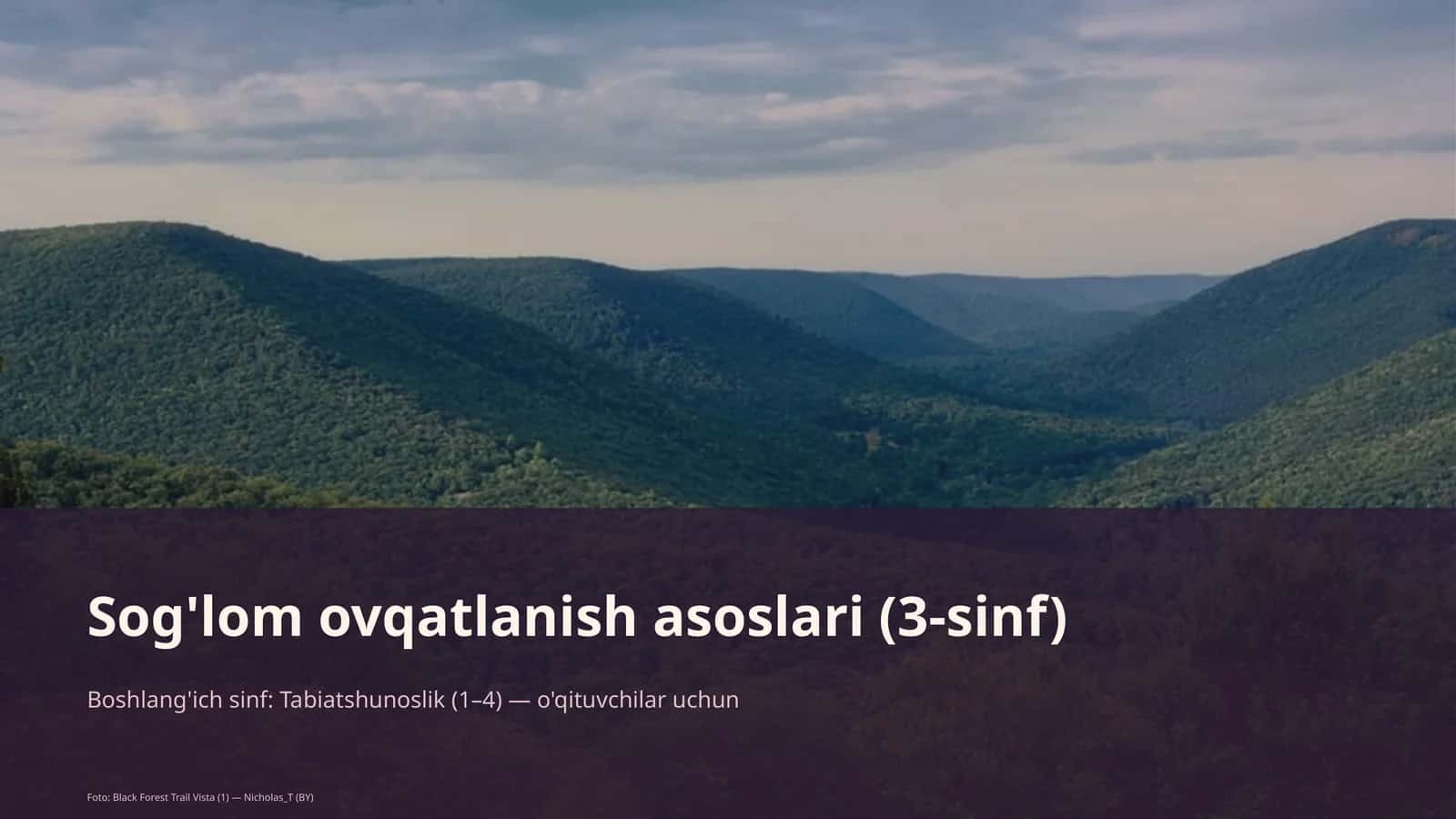 Sog'lom ovqatlanish asoslari (3-sinf)