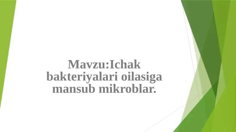 Ichak bakteriyalari oilasiga mansub mikroblar