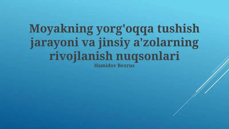 Moyakning yorg'oqqa tushish jarayoni va jinsiy a'zolarning rivojlanish nuqsonlari