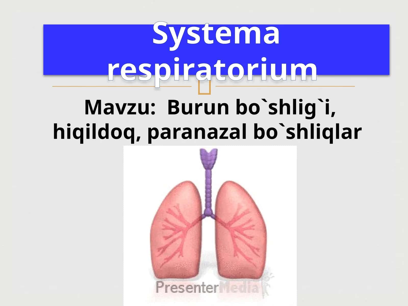 Burunbo`shlig`i,hiqildoq,paranazalbo`shliqlar
