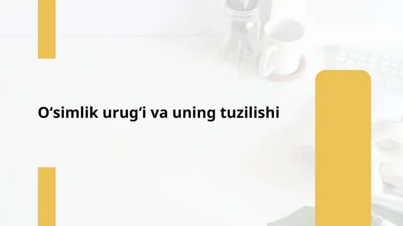 Oʻsimlik urugʻi va uning tuzilishi