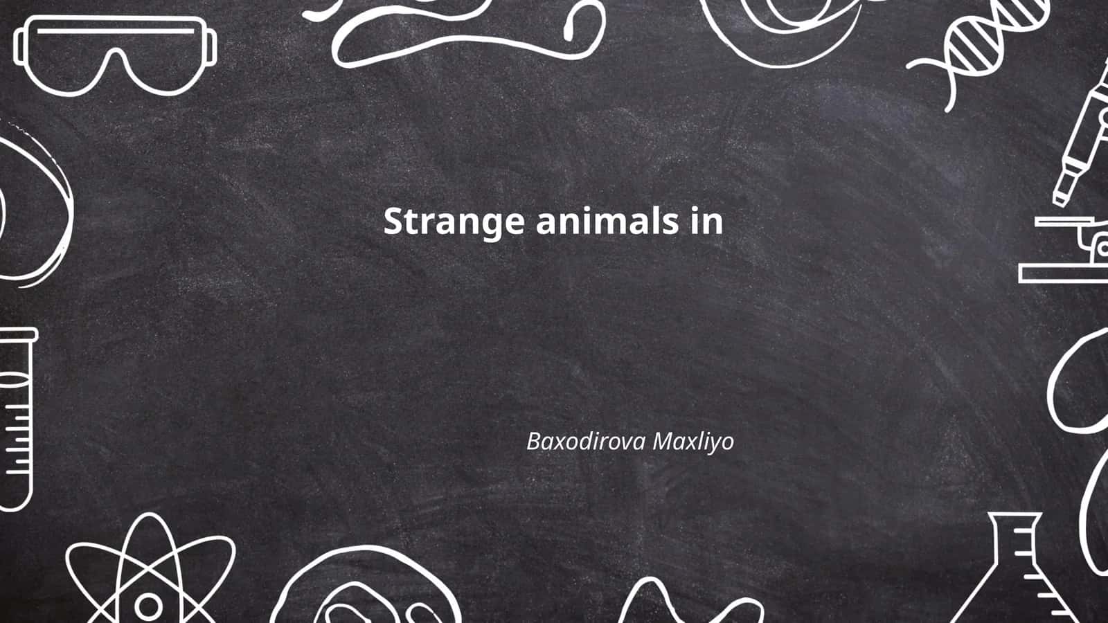 Strange animals in