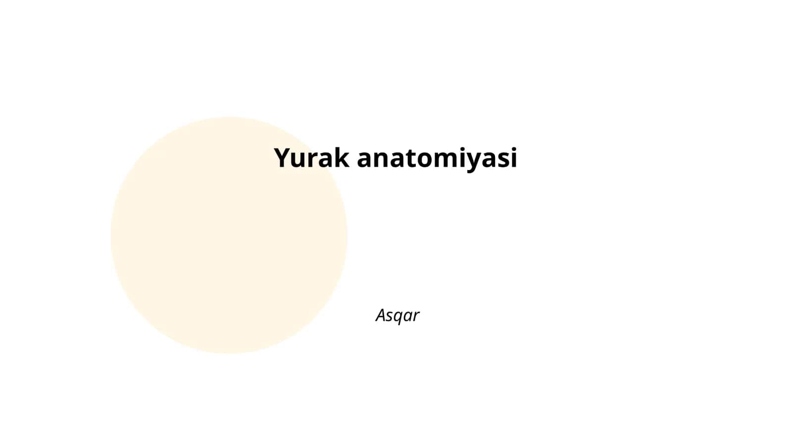 Yurak anatomiyasi