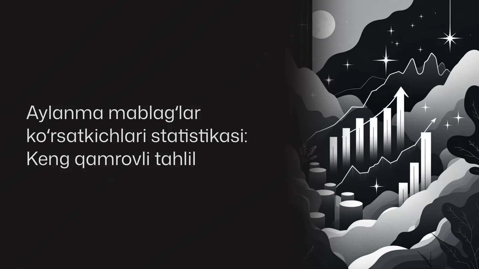 Aylanma mablagʻlar koʻrsatkichlari statistikasi: Keng qamrovli tahlil