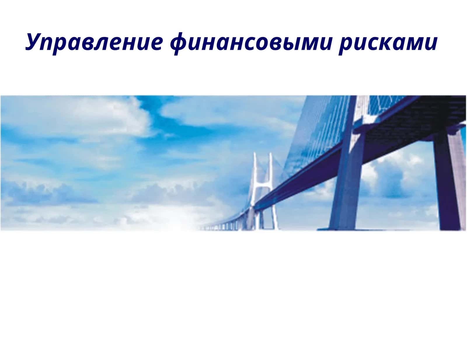 Управление финансовыми рисками