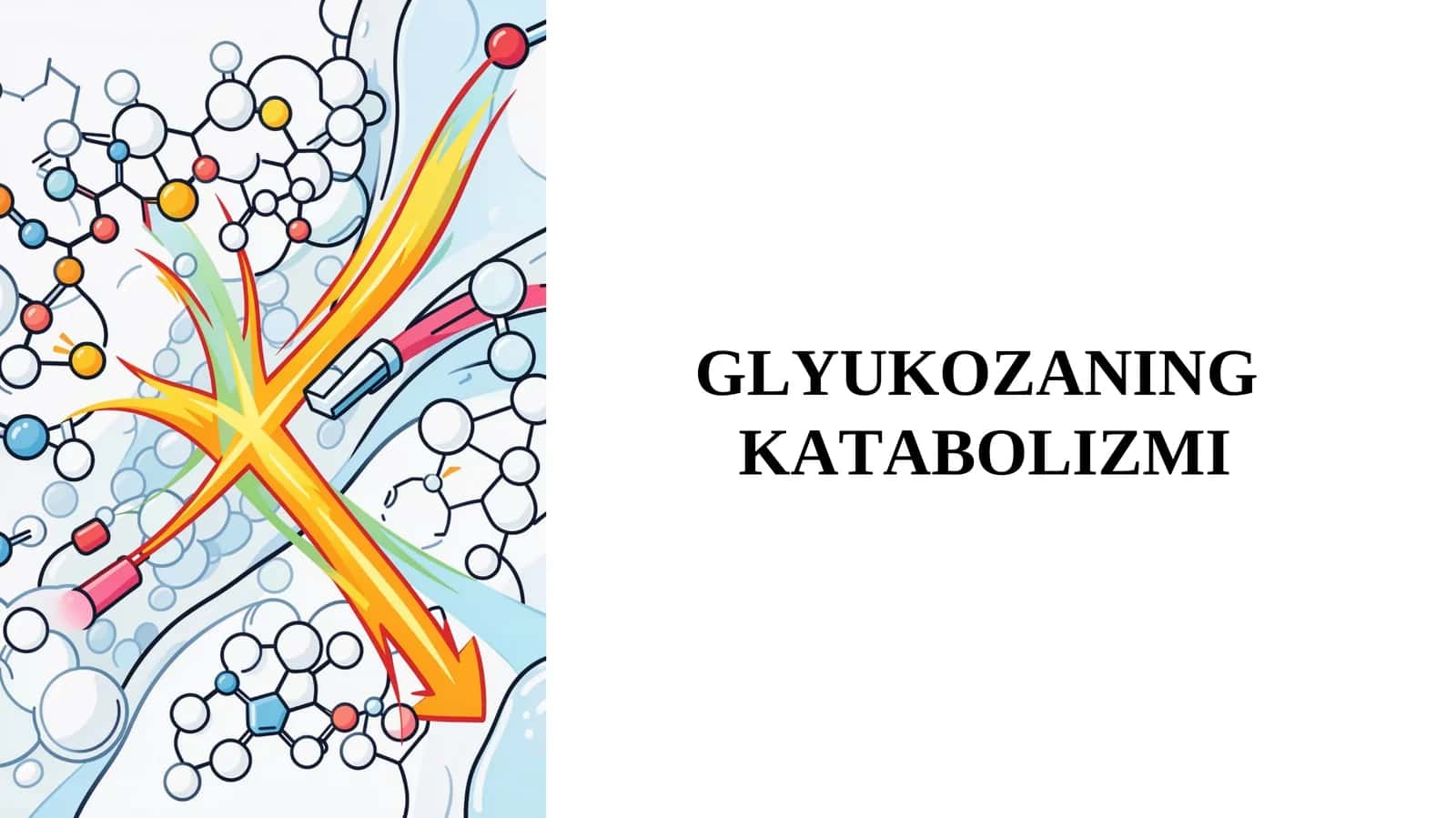 GLYUKOZANING KATABOLIZMI