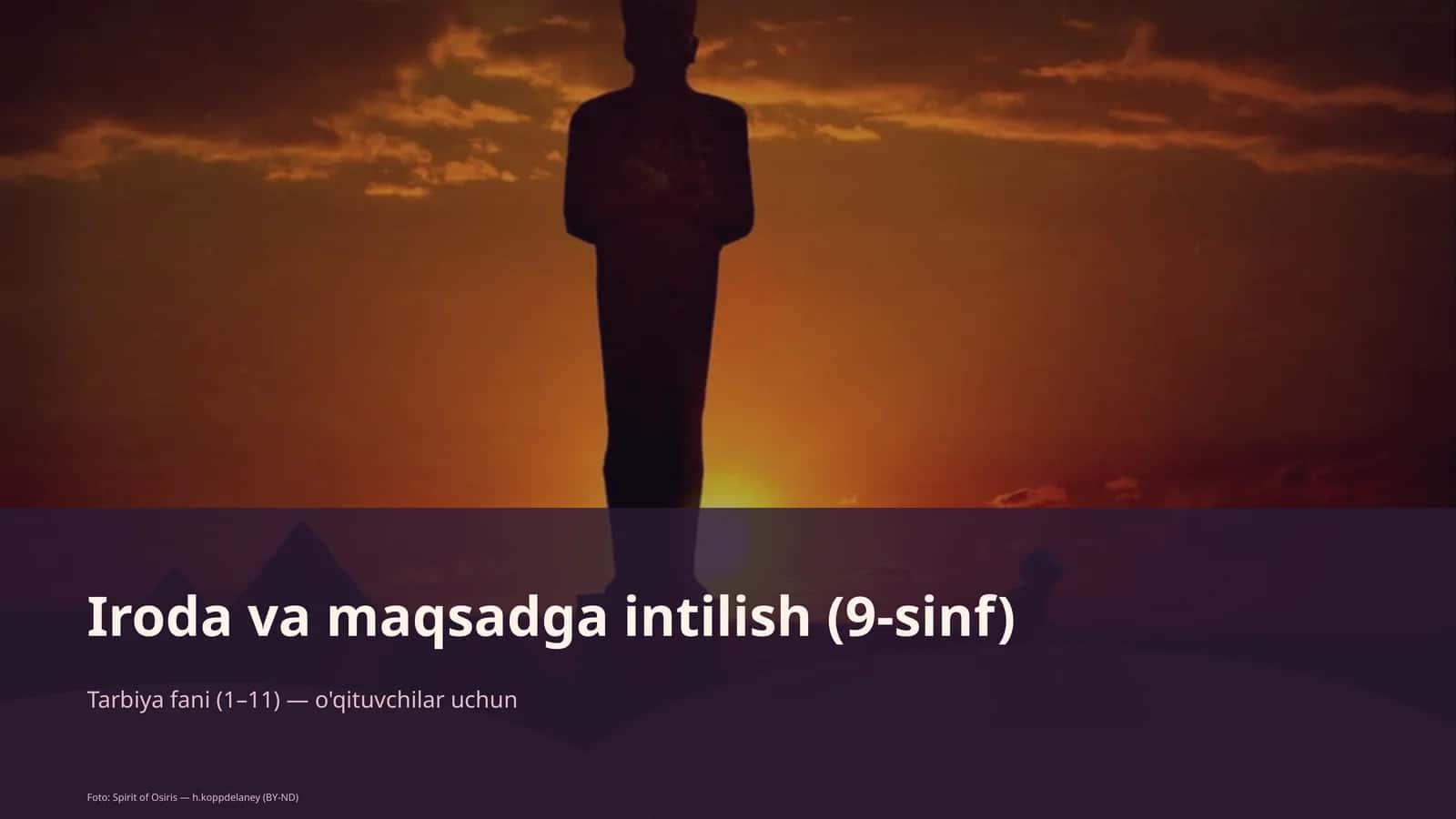 Iroda va maqsadga intilish (9-sinf)