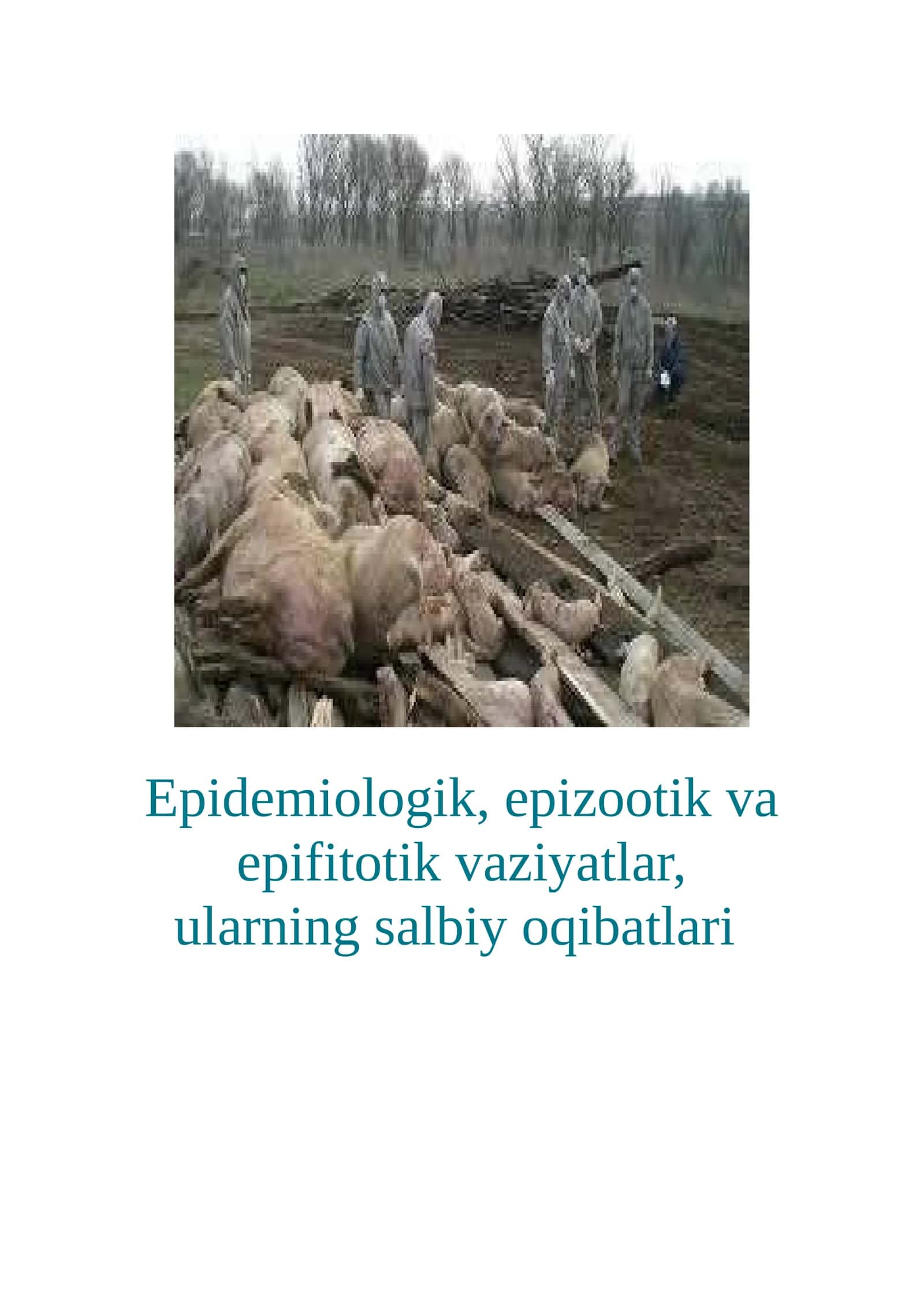 Epidemiologik, epizootik va epifitotik vaziyatlar, ularning salbiy oqibatlari