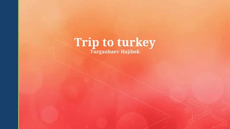 Trip to Turkey