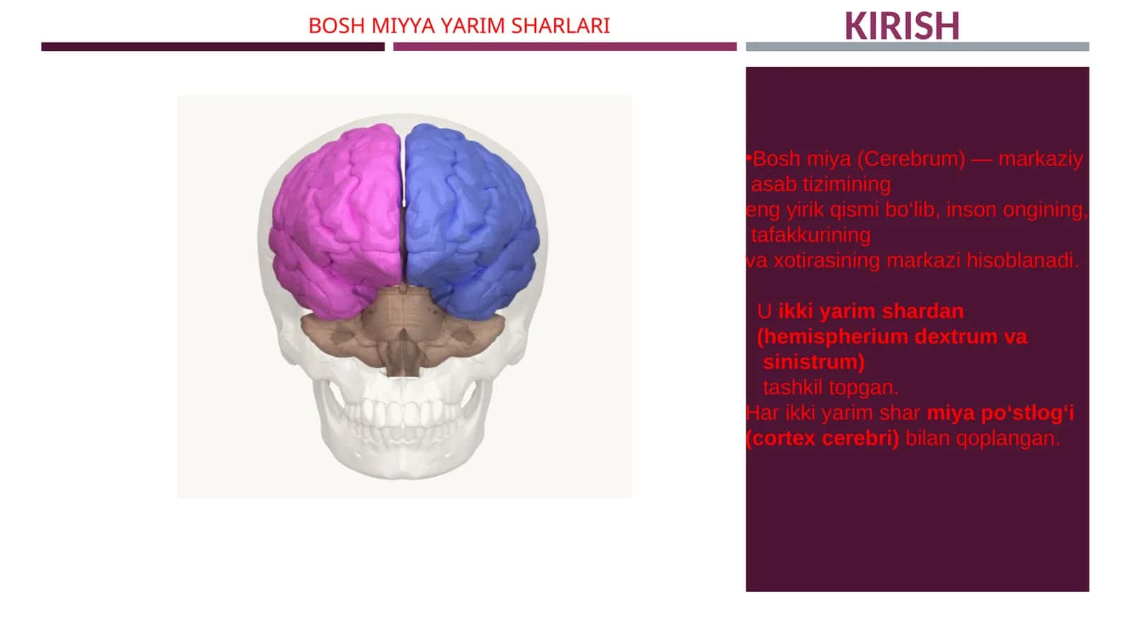 BOSH MIYA YARIM SHARLARI
