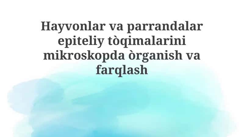 Epiteliya to'qimalari