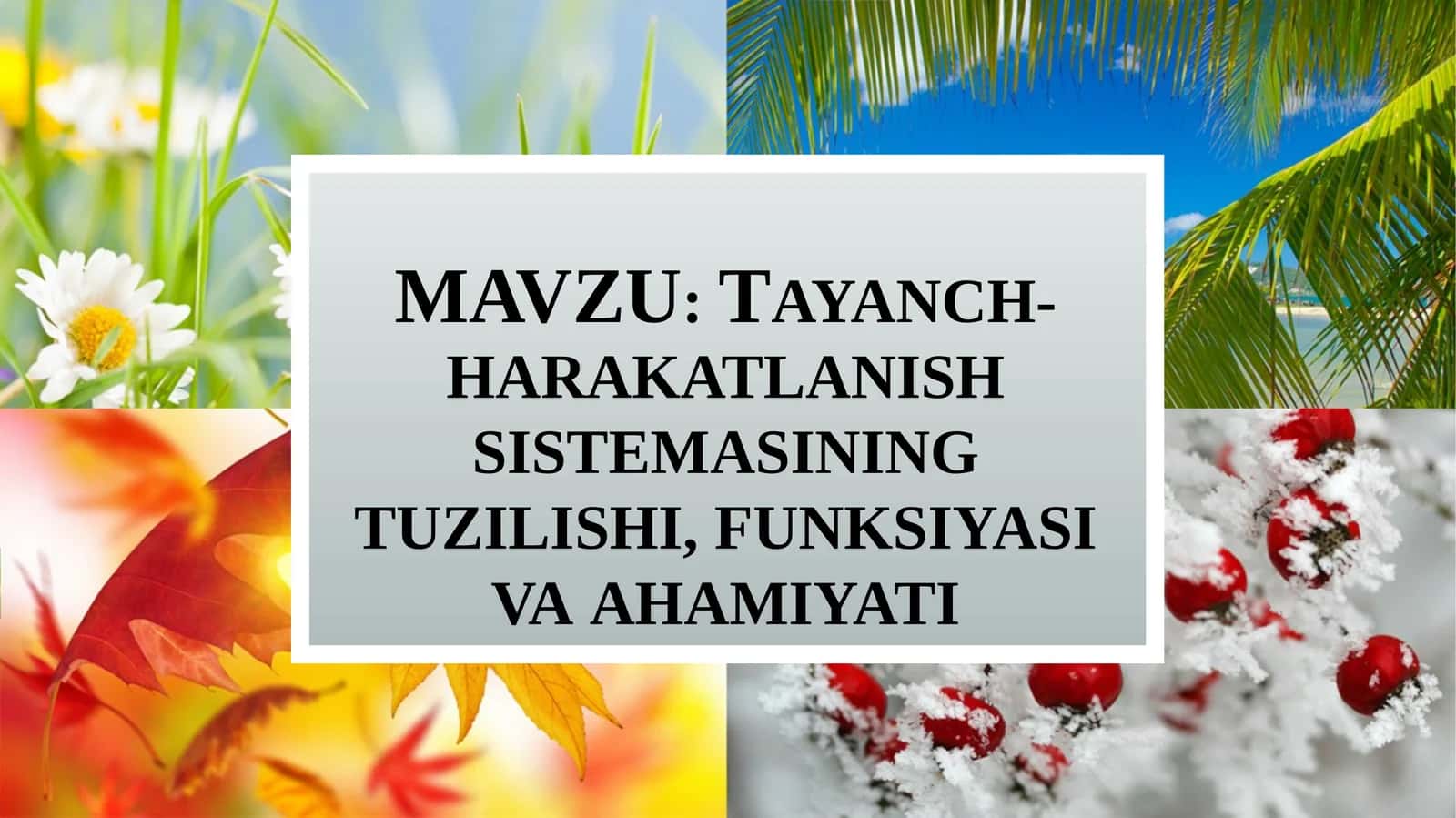 Tayanch-harakatlanish sistemasining tuzilishi, funksiyasi va ahmiyati