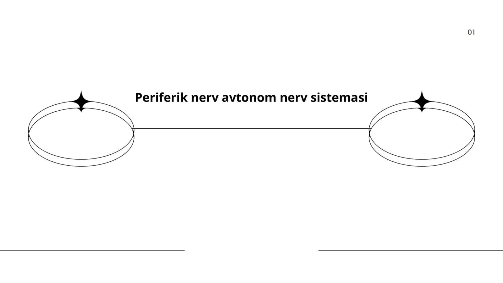 Periferik nerv avtonom nerv sistemasi