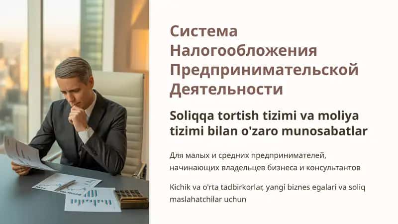 Система Налогообложения Предпринимательской Деятельности