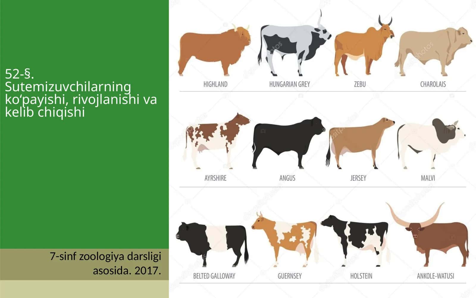 7-sinf Zoologiya 'Sutemizuvchilarning ko'payishi, rivojlanishi va kelib chiqishi' ko'rgazma