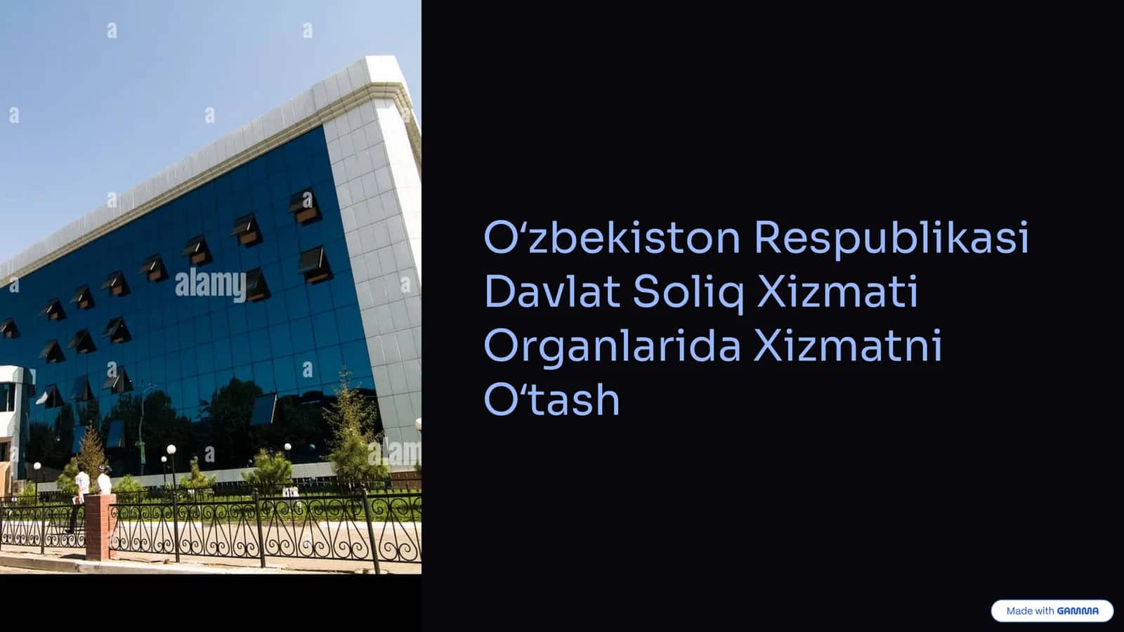 Soliq Xizmati Organlarida Xizmatni Oʻtash