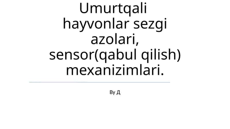 Umurtqali hayvonlar sezgi azolari, sensor(qabul qilish) mexanizimlari