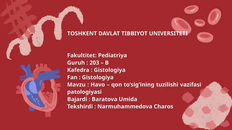 Havo-qonto‘sig‘i anatomik, gistologik tuzilishi