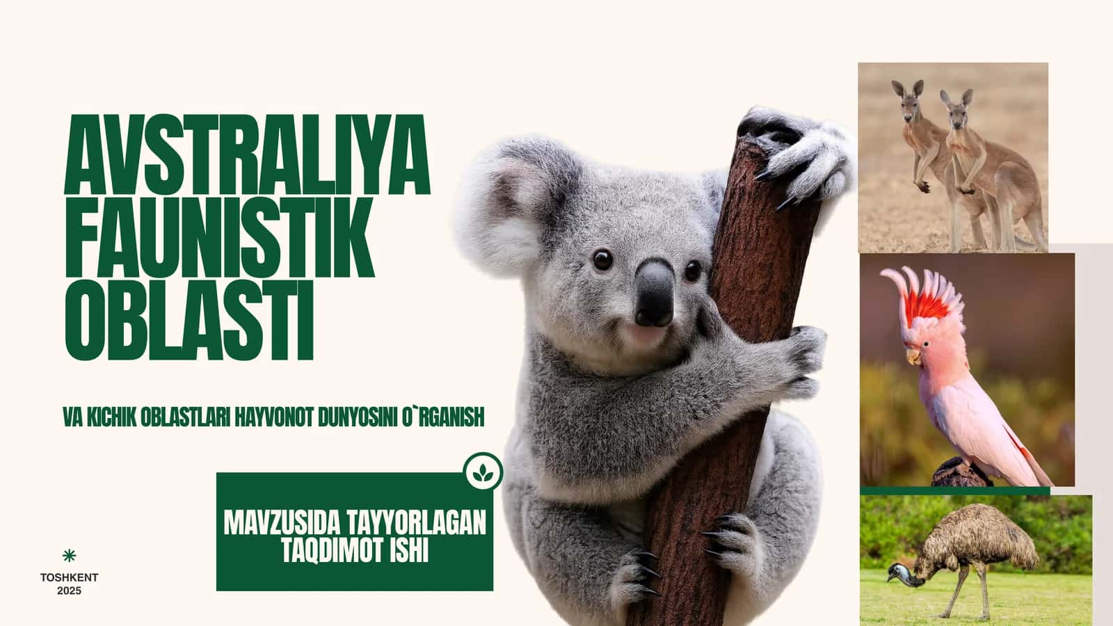 AVSTRALIYA FAUNISTIK OBLASTI