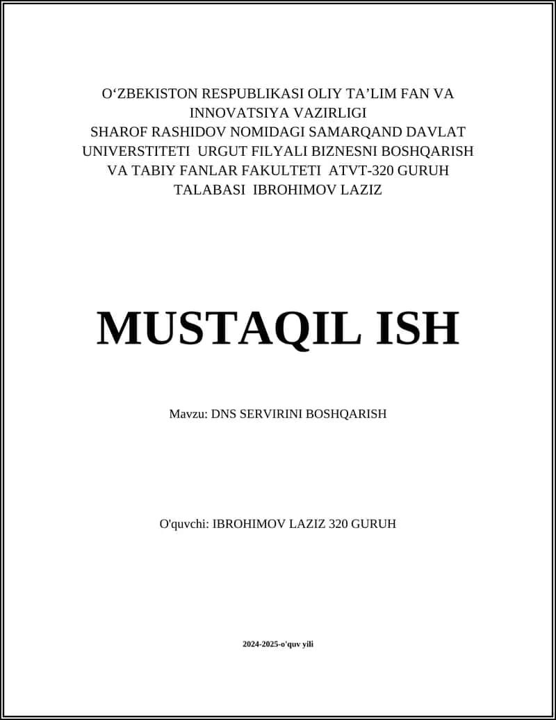 DNS SERVIRINI BOSHQARISH