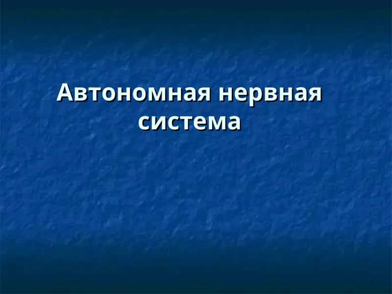 Верхний шейный узел