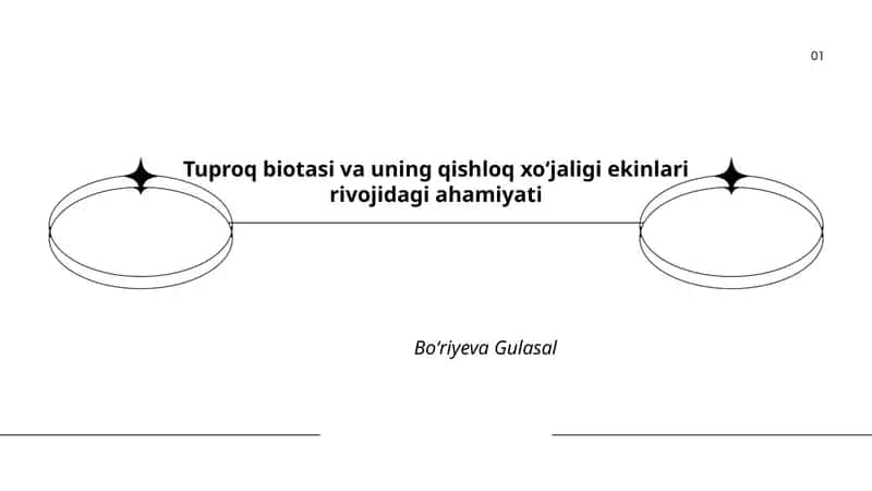 Tuproq biotasi va uning qishloq xoʻjaligi ekinlari rivojidagi ahamiyati