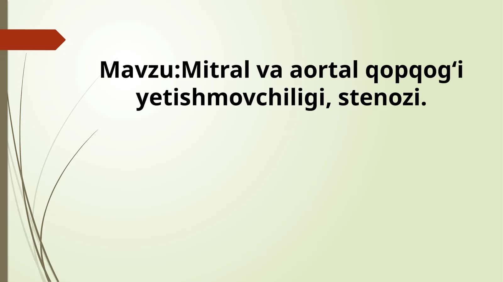 Mitral va aortal qopqog‘i yetishmovchiligi, stenozi.