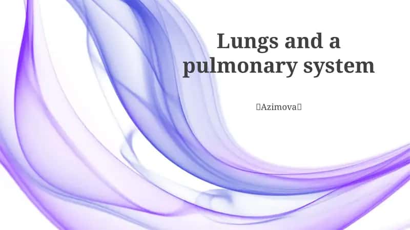 Lungs and a pulmonary system