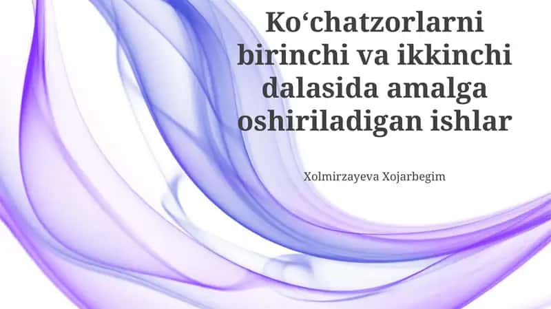 Koʻchatzorlarni birinchi va ikkinchi dalasida amalga oshiriladigan ishlar