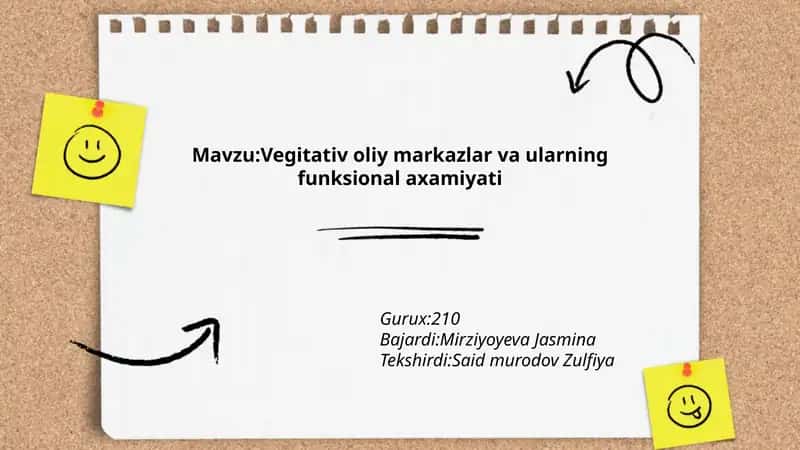 Vegitativ oliy markazlar va ularning funksional axamiyati