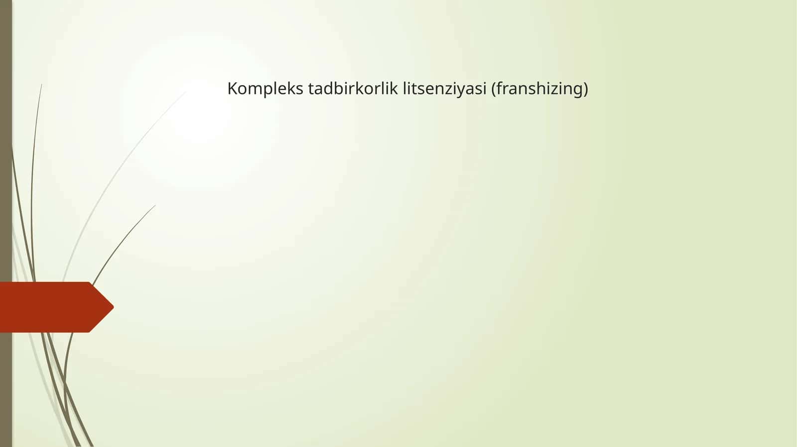 Komplekstadbirkorliklitsenziyasi(franshizing)
