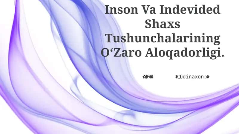 Inson Va Indevided Shaxs Tushunchalarining OʻZaro Aloqadorligi