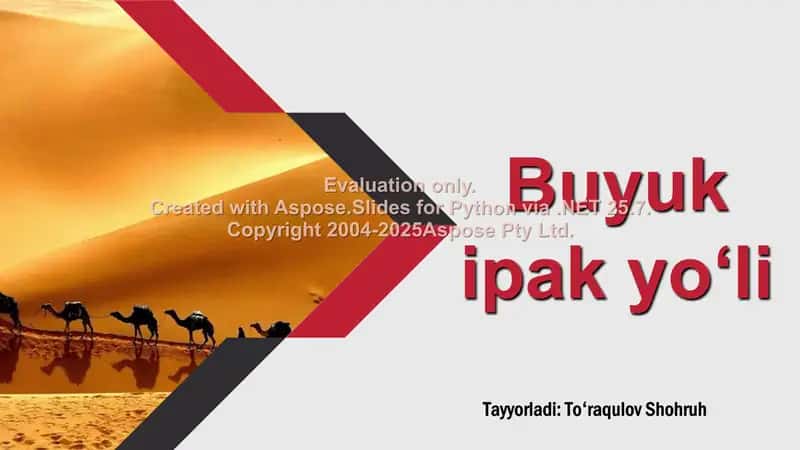 Buyuk Ipak Yo‘li