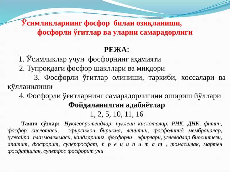 Ўсимликларнинг фосфор билан озиқланиши, фосфорли ўғитлар ва уларни самарадорлиги
